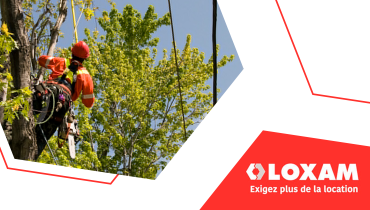Arbres et espaces verts par temps “vent et pluie” - Bonnes pratiques de maintenance